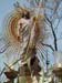 2006resurreccion 033