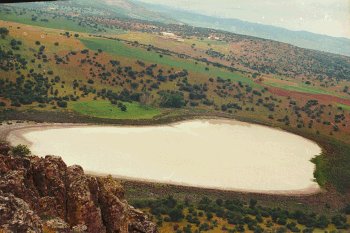 FuentiM96.jpg (23538 bytes)