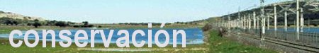 banconservacion.jpg (11951 bytes)