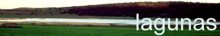 banlagunas.jpg (10046 bytes)