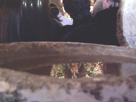 Imagen 022