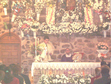 Imagen 005