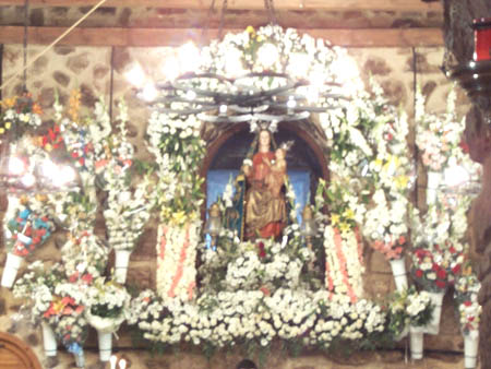 Imagen 008