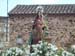Imagen 019